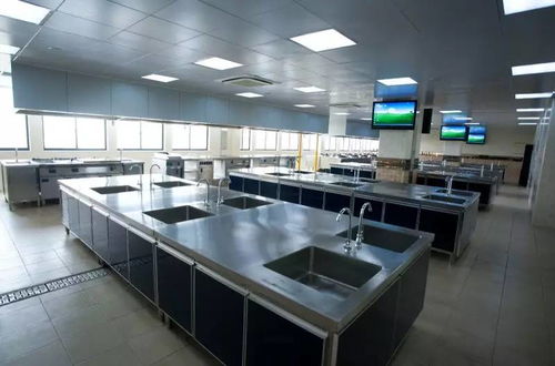 学院巡礼 医食商三味——探秘护理、商学、旅游烹饪与食品科学的多彩求索